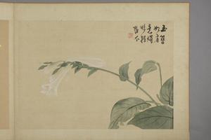 华喦花卉图册