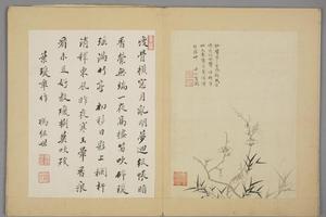 沈颢墨梅册