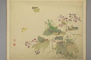 周铨花鸟昆虫册
