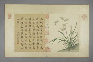 蒋廷锡花卉图册