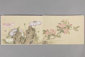 董诰花卉册