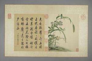 蒋廷锡花卉图册