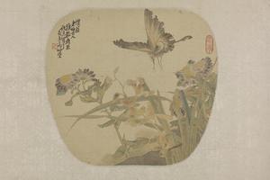 任薫花蝶图扇页
