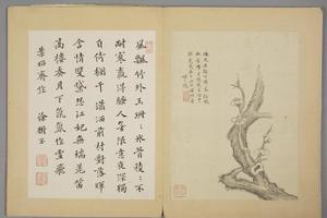 沈颢墨梅册