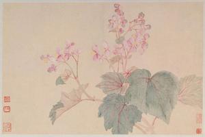 恽寿平花卉山水册