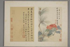 王武花卉册