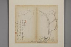 王露花卉册