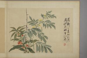 华喦花卉图册