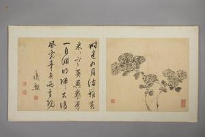 戚勋花卉册