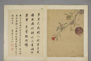 项圣谟花卉册