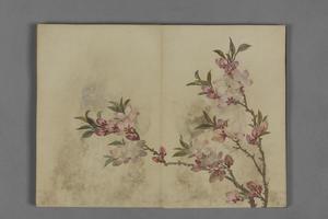 蒋溥花卉图册