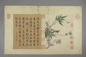 蒋廷锡花卉图册