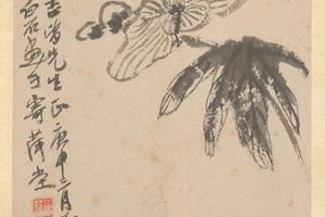 齐璜花卉册