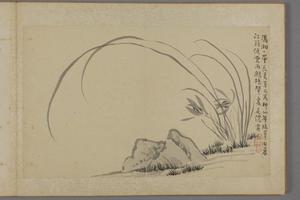 汪士慎兰梅册