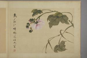 华喦花卉图册