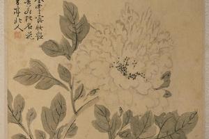 王穀祥花卉册