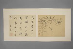 项圣谟花卉册