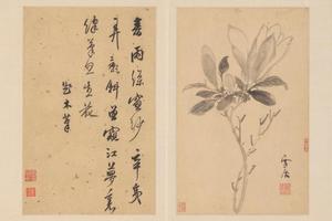 孙克弘花卉册