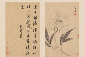 孙克弘花卉册