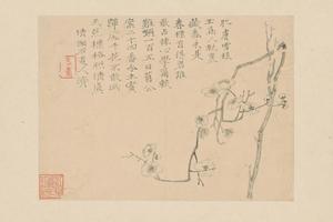 原济梅花册单页