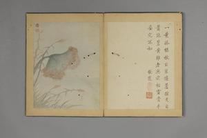 王翰山水花石册