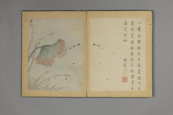 王翰山水花石册