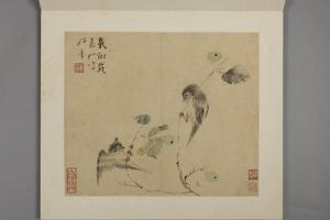 华喦花鸟册