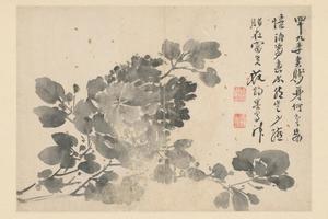 徐渭人物花卉册