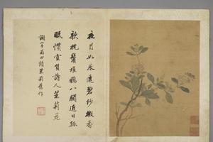 项圣谟花卉册