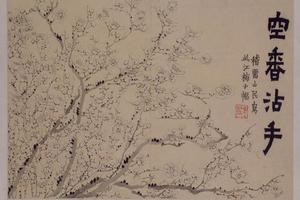 金农梅花册