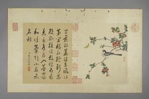 蒋廷锡花卉图册