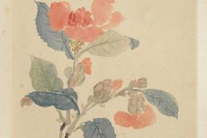 马元驭花鸟册
