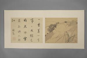 项圣谟花卉册