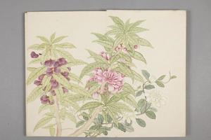 董诰绚锦胪芳图册
