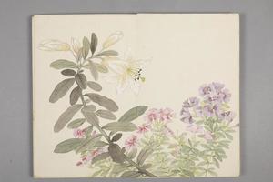 董诰绚锦胪芳图册