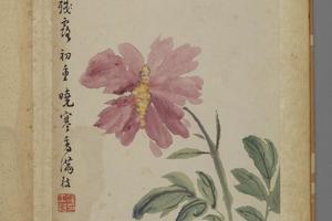 汪士慎花卉册