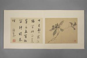 项圣谟花卉册