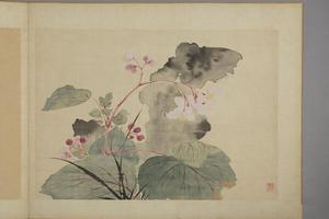 华喦花卉图册