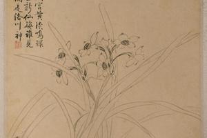 王穀祥花卉册