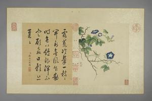 蒋廷锡花卉图册