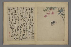 黄慎花卉图册