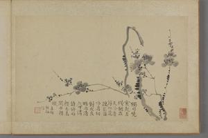 汪士慎兰梅册