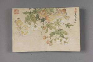 董诰花卉册
