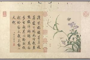 蒋廷锡花卉图册