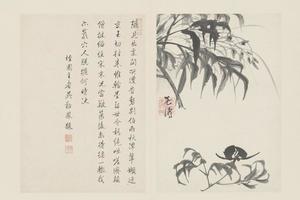 原济兰竹册－芍药兰花