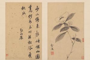 孙克弘花卉册