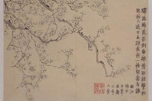 金农梅花册