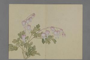 蒋溥花卉图册