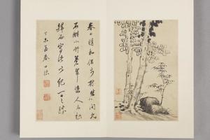 查士标枯木竹石册