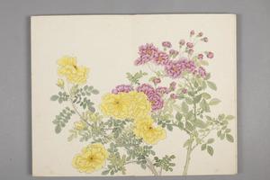 董诰绚锦胪芳图册